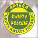 Roll up Apteka Kwiaty Polskie - 85x200 cm